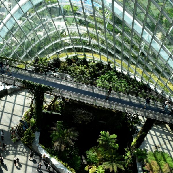 Edificio con vegetación integrada y tecnologías sostenibles, representando la arquitectura regenerativa.
