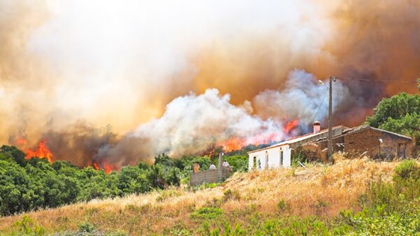 asesoramiento vivienda incendio