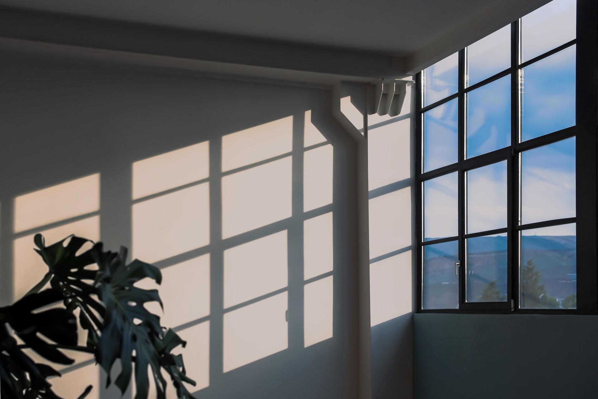 vidrio de las ventanas